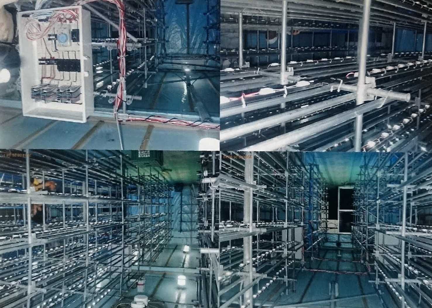 しいたけ栽培工場 LED施工